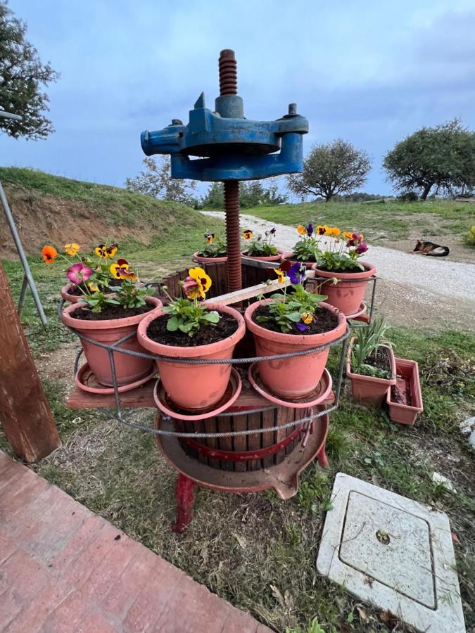 B&B Il Tramonto Barbarano Romano Exterior photo